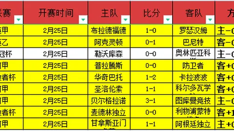 里昂对决塞尔塔，欧联杯期号专家推荐质合分析预测